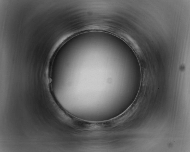 X0000103450796200809121426