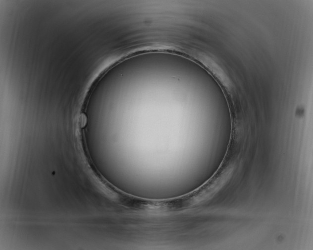 X0000103450797200809121426