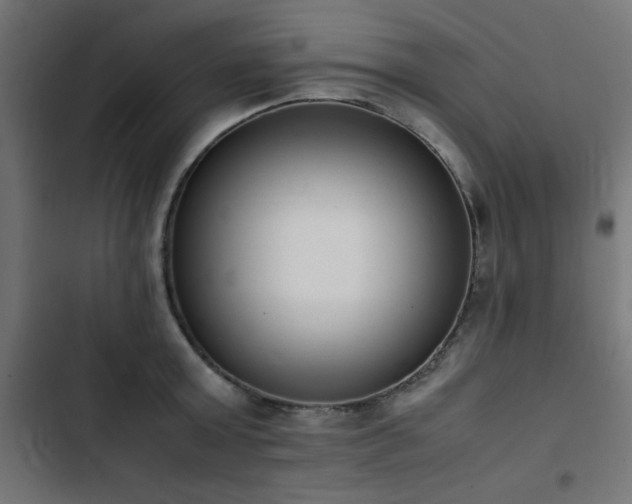 X0000103450803200809121426