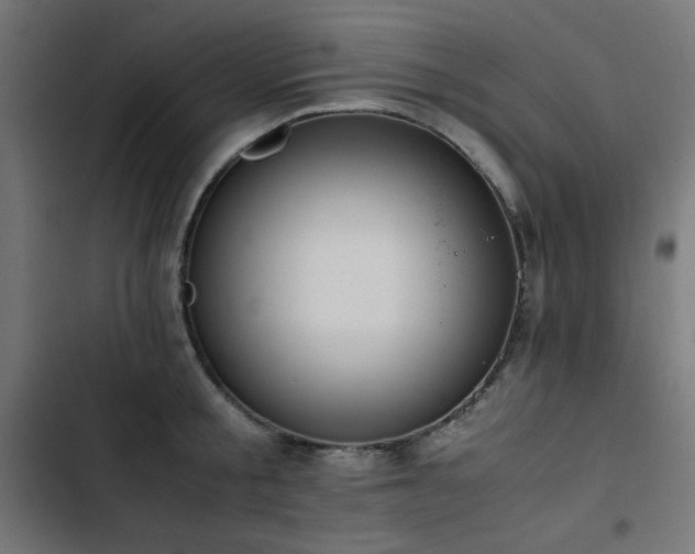 X0000103450805200809121426
