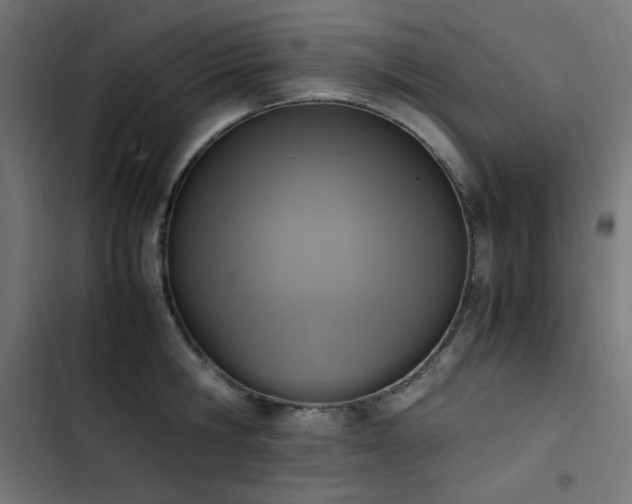 X0000103450806200809121426