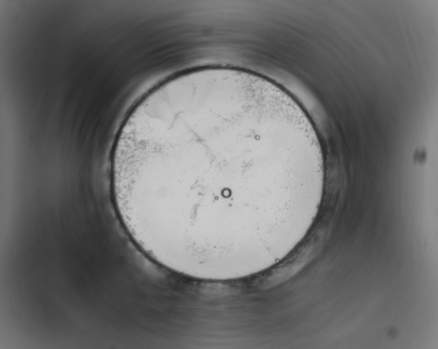 X0000103450807200809121426