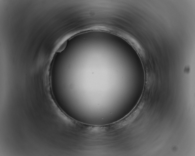 X0000103450808200809121426
