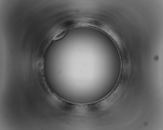 X0000103450809200809121426
