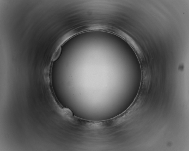 X0000103450810200809121425