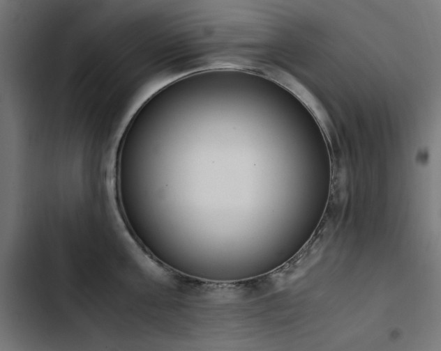 X0000103450811200809121425
