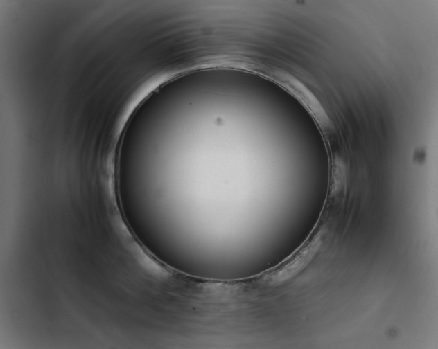 X0000103450812200809121425