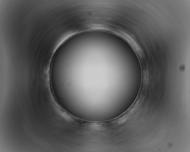 X0000103450814200809121425