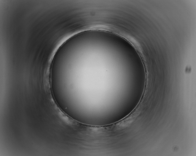 X0000103450816200809121425