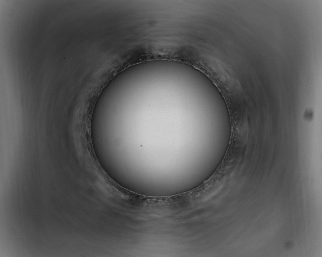 X0000103450817200809121425