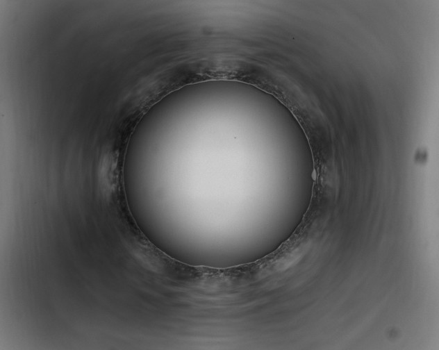 X0000103450818200809121425