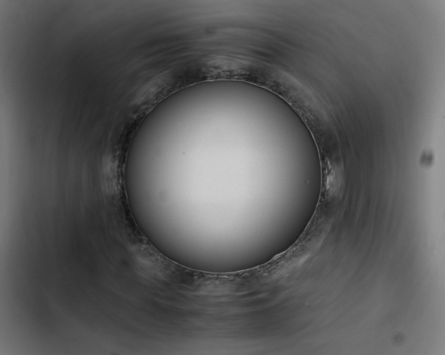 X0000103450819200809121425