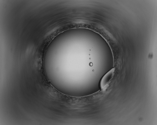 X0000103450821200809121425