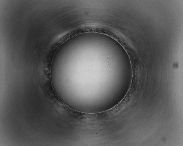 X0000103450822200809121425