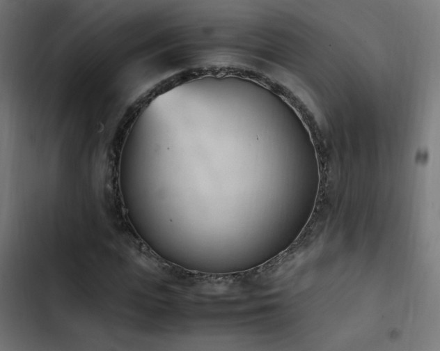 X0000103450823200809121425
