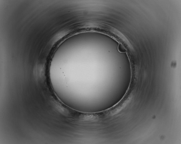 X0000103450826200809121425