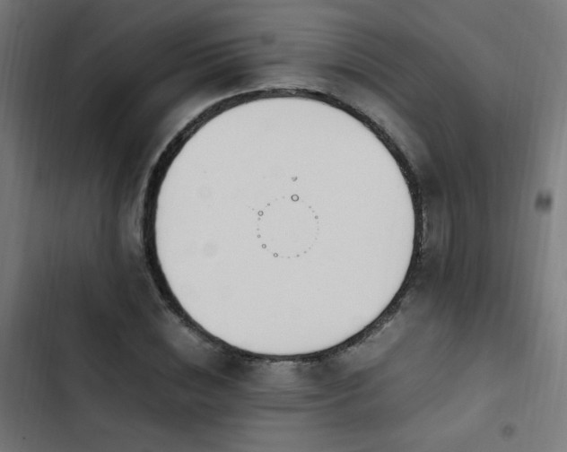 X0000103450828200809121425