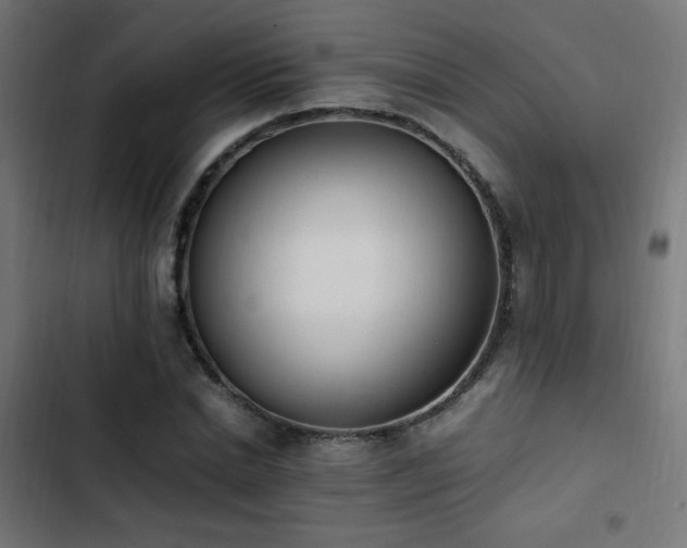X0000103450830200809121425