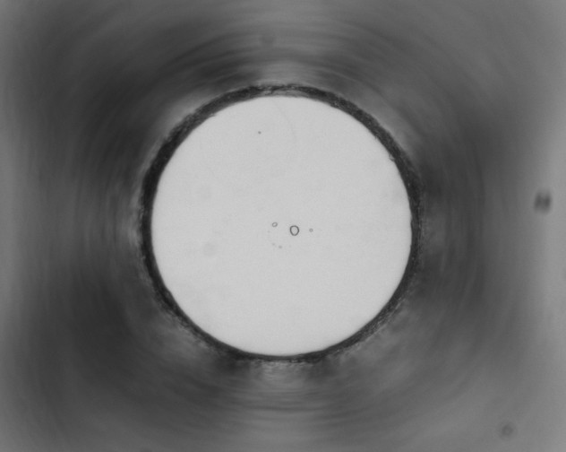 X0000103450832200809121425