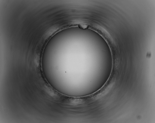 X0000103450833200809121425