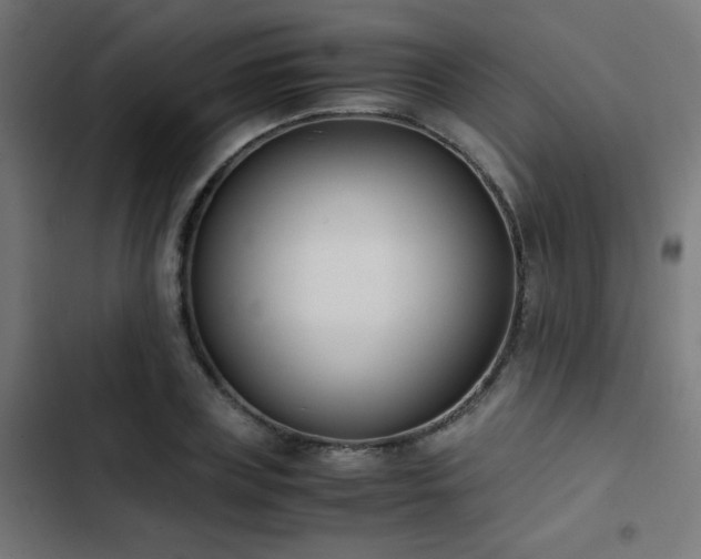 X0000103450835200809121425