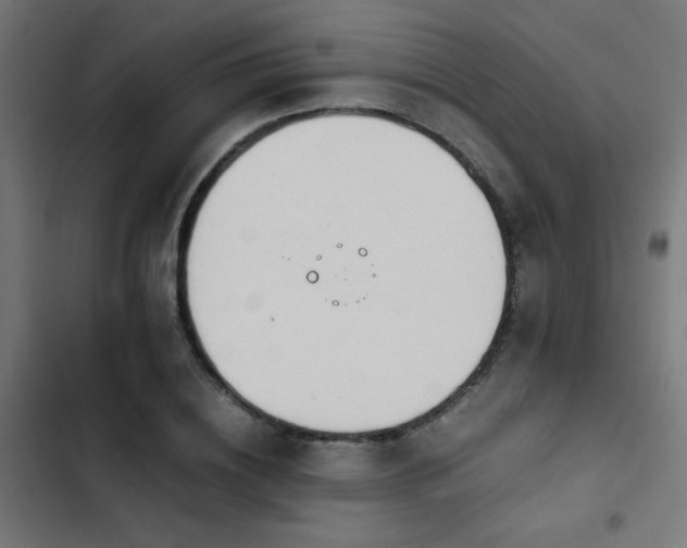 X0000103450836200809121425