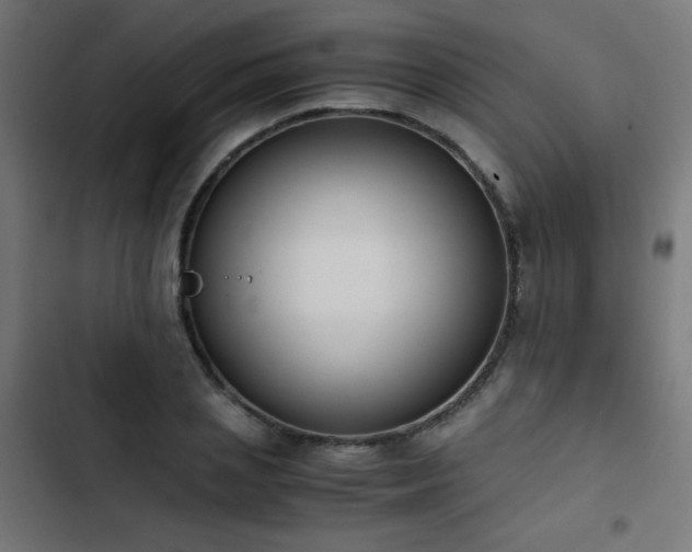 X0000103450837200809121425