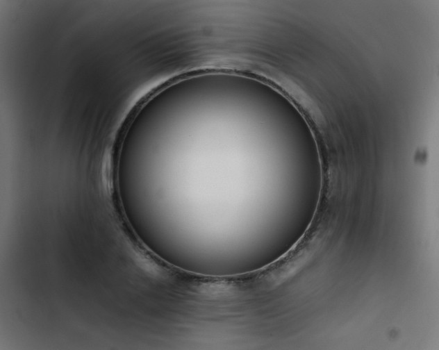 X0000103450838200809121425