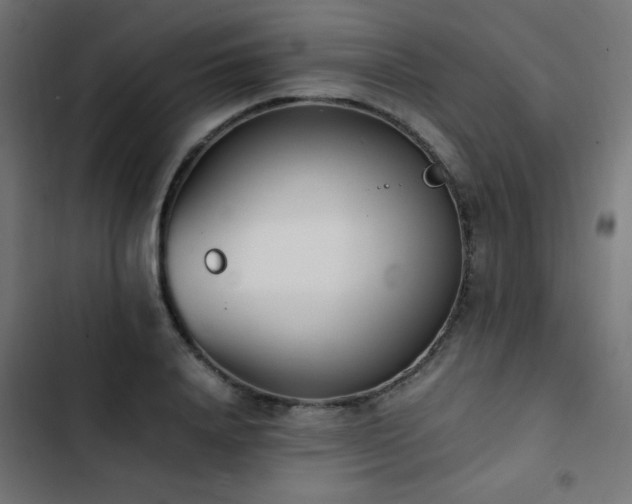 X0000103450840200809121425