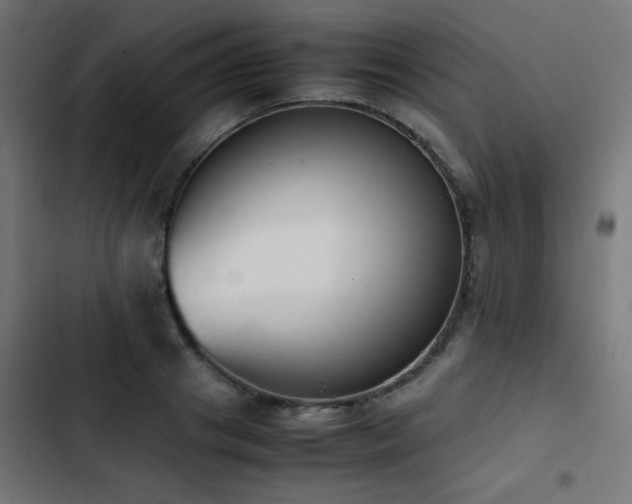 X0000103450841200809121425