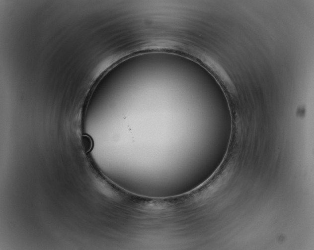 X0000103450842200809121425