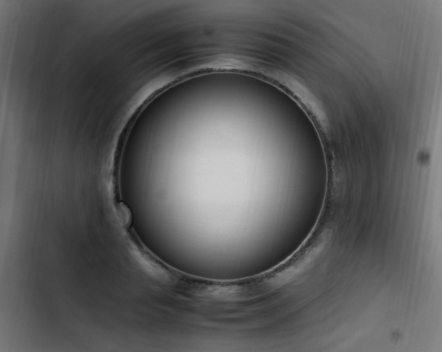 X0000103450845200809121425