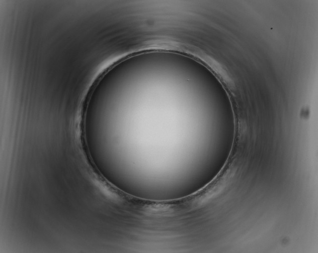 X0000103450846200809121425