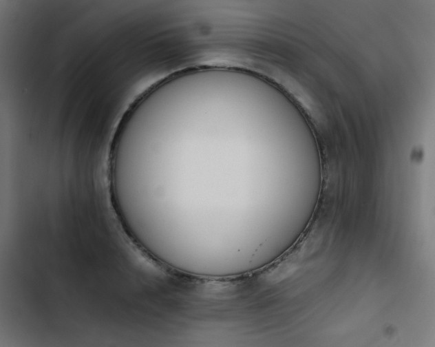 X0000103450848200809121425