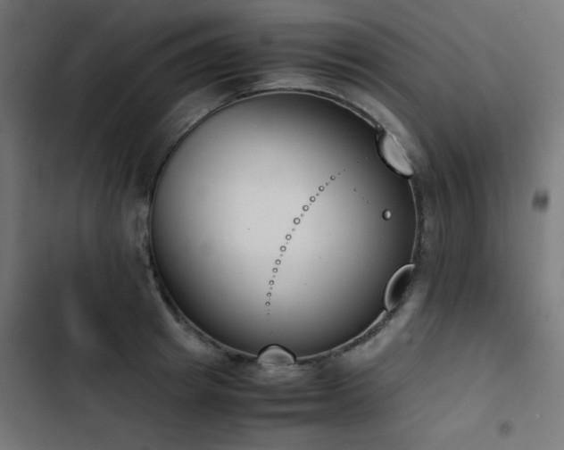 X0000103450849200809121425
