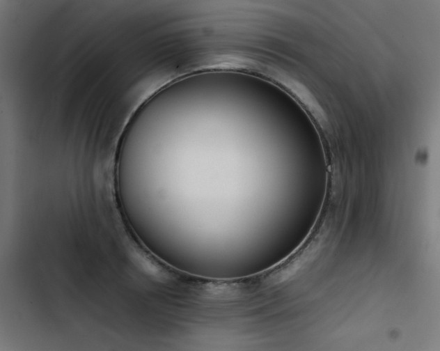 X0000103450850200809121425