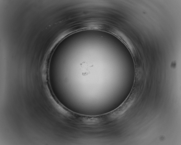 X0000103450851200809121425