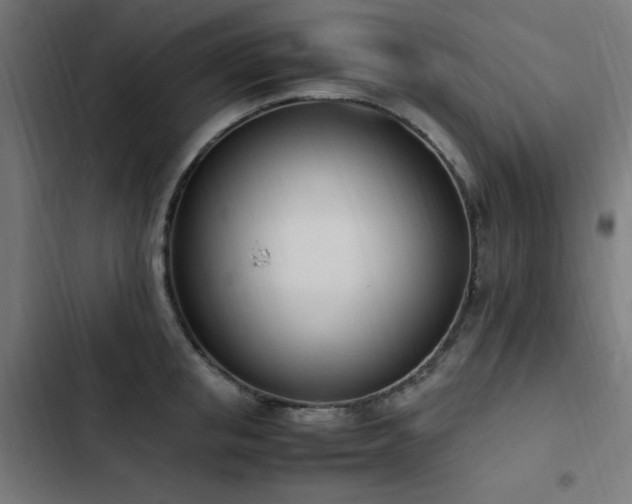 X0000103450853200809121425