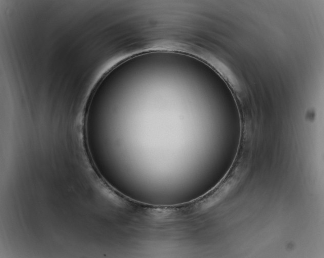 X0000103450854200809121425