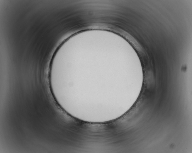 X0000103450856200809121425