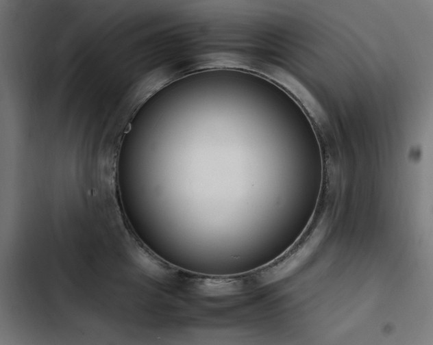 X0000103450857200809121425