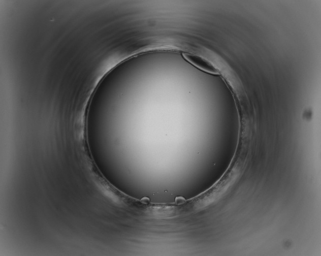 X0000103450858200809121425