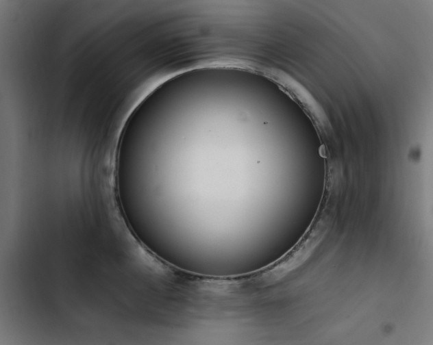 X0000103450860200809121425