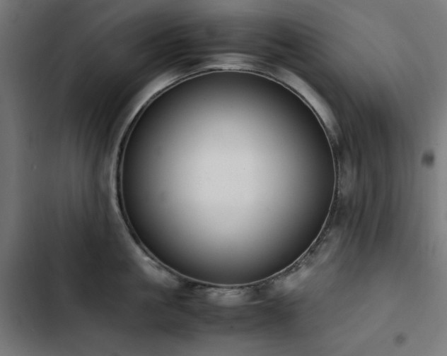 X0000103450861200809121425