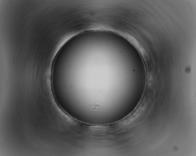 X0000103450863200809121425