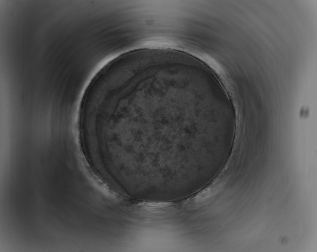 X0000103450864200809121425