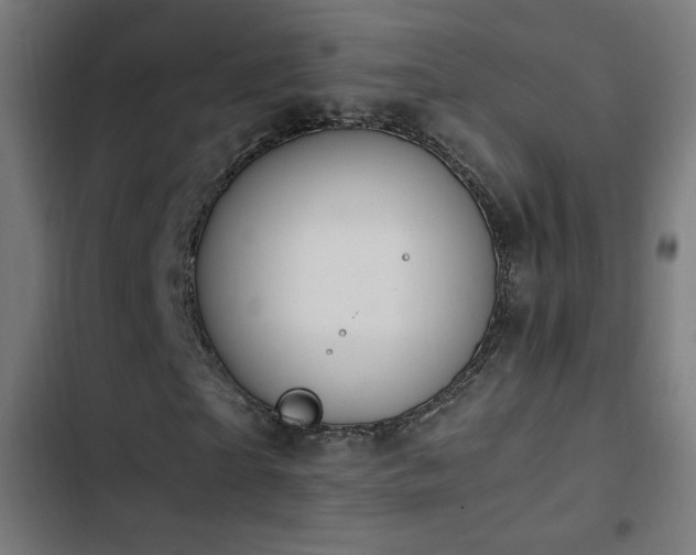 X0000103450865200809121425