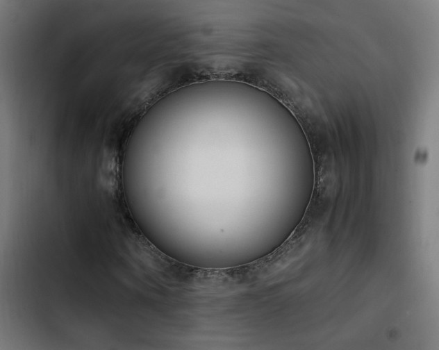 X0000103450866200809121425