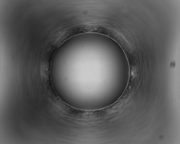 X0000103450867200809121425