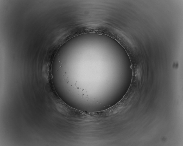 X0000103450868200809121425